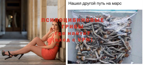 тгк Белокуриха