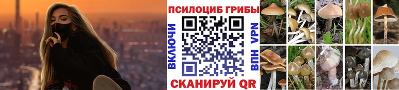 Псилоцибиновые грибы Magic Shrooms  Купить  Кашира 
